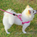 Harness And Leash Set Designer Nylon Mesh Harnesses